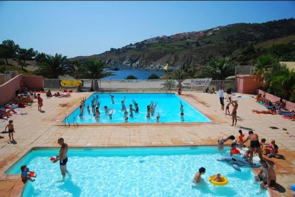 Residence Les Aloes T2 , Ideal 2 Adultes 2 Enfants A 2 Minutes De La Mer Cerbère Extérieur photo